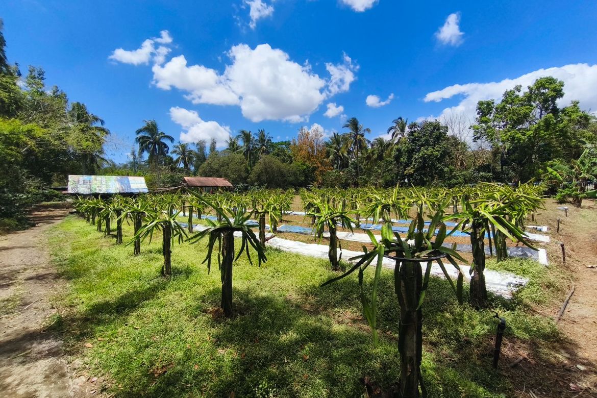 Land for Sale in Santo Toribio, Lipa, Batangas – photo 7
