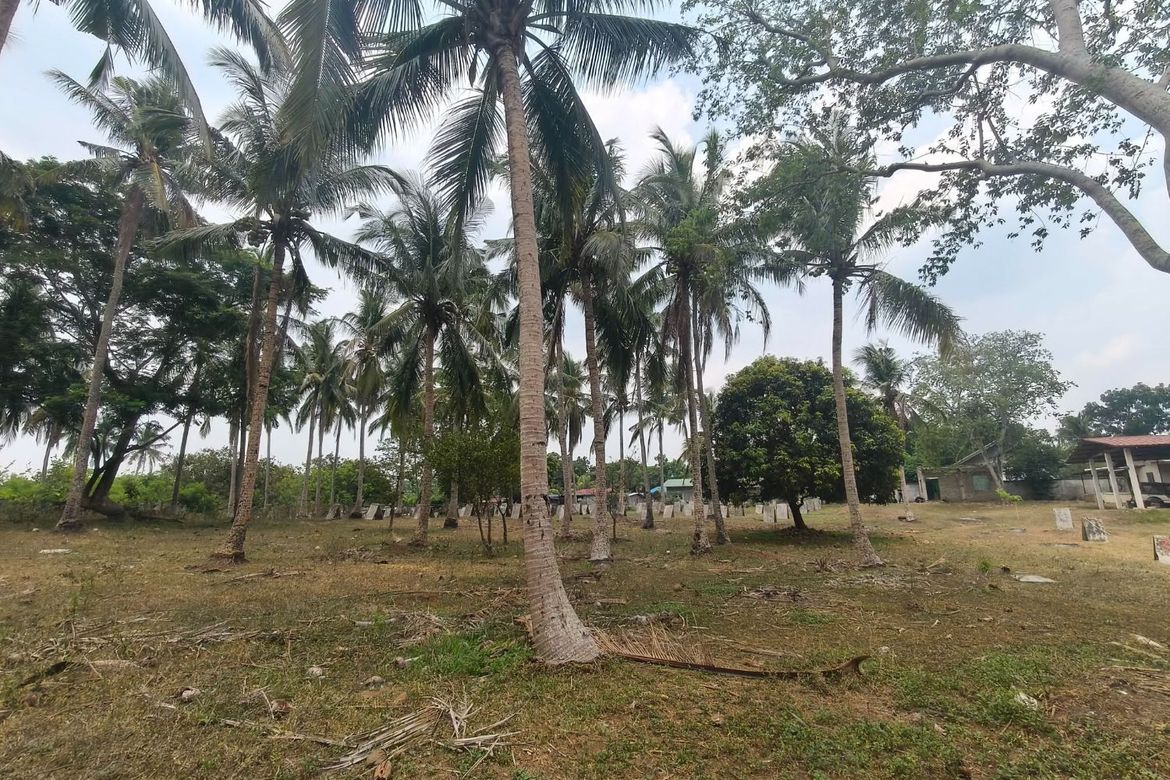 Land for Sale in Santo Toribio, Lipa, Batangas – photo 3