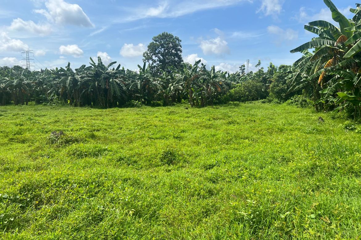 Land for Sale in Santor, Tanauan, Batangas – photo 3