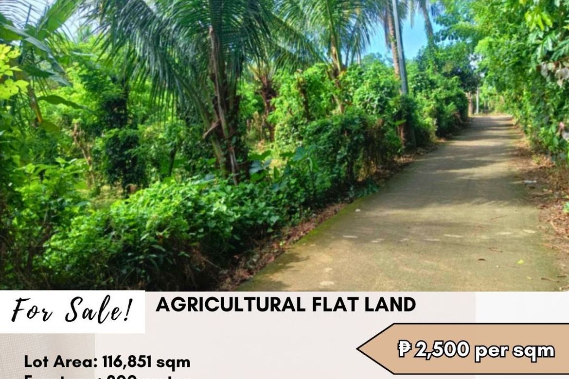 Land for Sale in Sapac, Lipa, Batangas