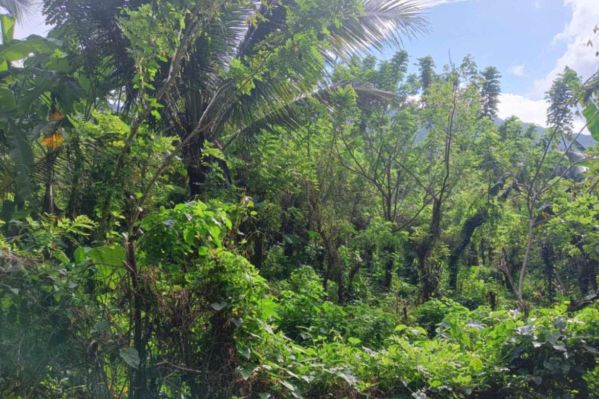Land for Sale in Sapac, Lipa, Batangas – photo 2