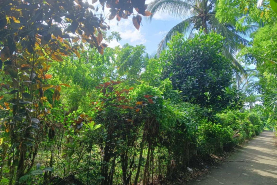 Land for Sale in Sapac, Lipa, Batangas – photo 4