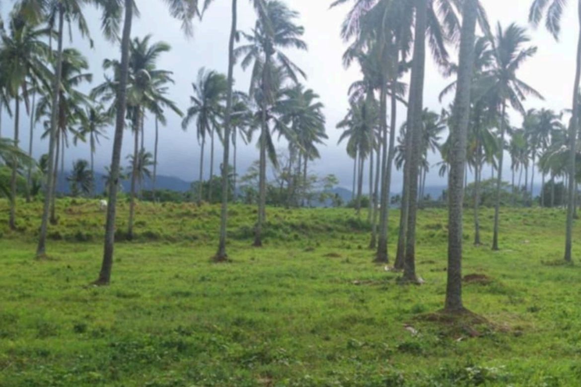 Land for Sale in Sapac, Lipa, Batangas