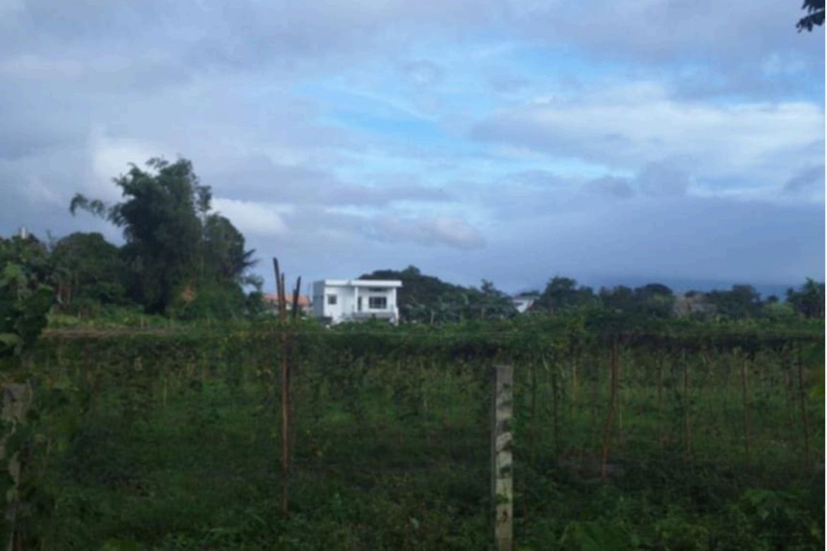 Land for Sale in Sapac, Lipa, Batangas – photo 3