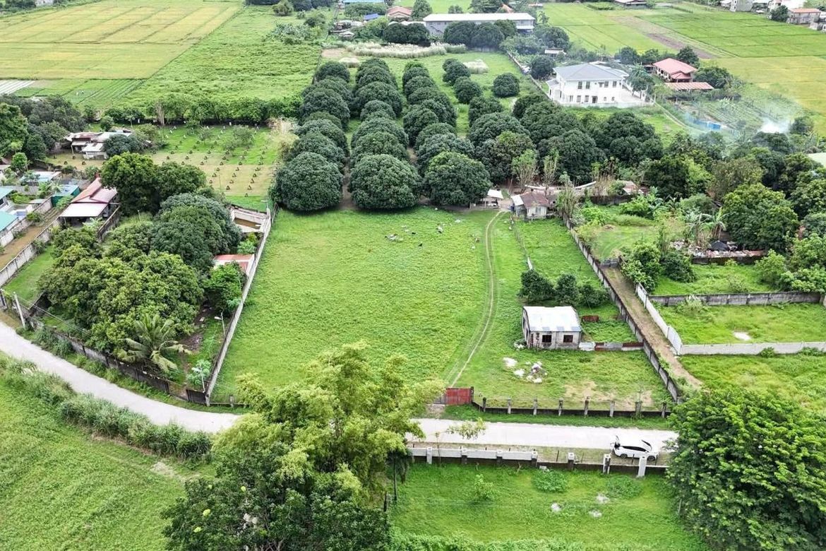 Land for Sale in Sapang Biabas, Mabalacat, Pampanga