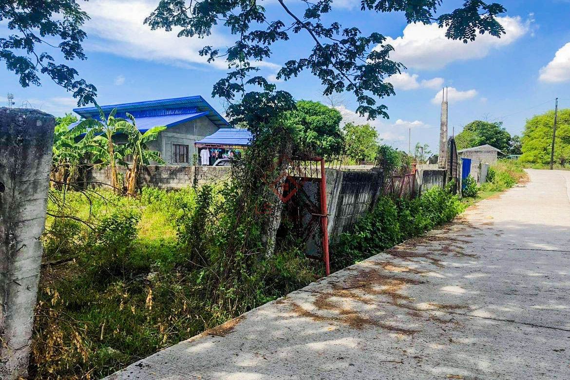 Land for Sale in Sapang Bulak, Doña Remedios Trinidad, Bulacan – photo 2
