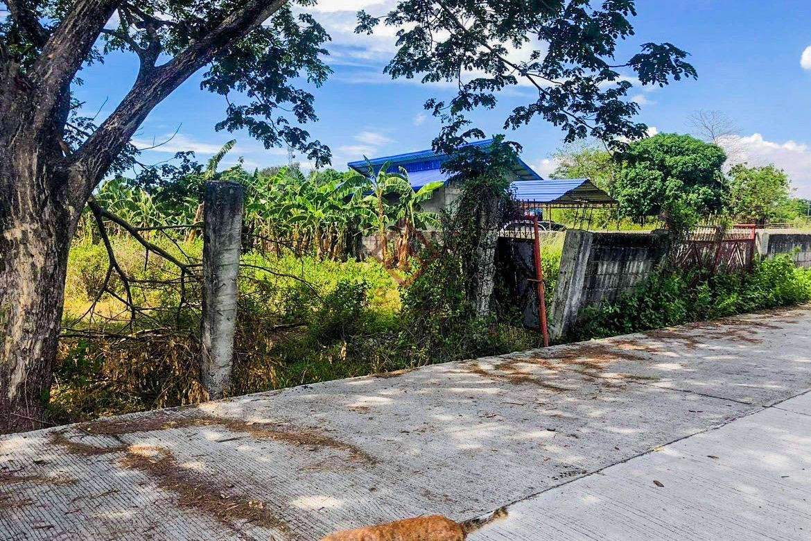 Land for Sale in Sapang Bulak, Doña Remedios Trinidad, Bulacan – photo 3