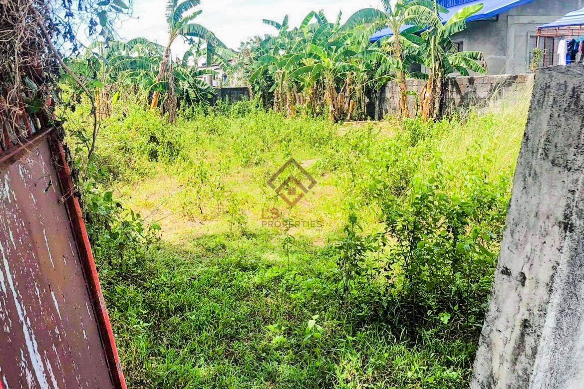 Land for Sale in Sapang Bulak, Doña Remedios Trinidad, Bulacan – photo 5