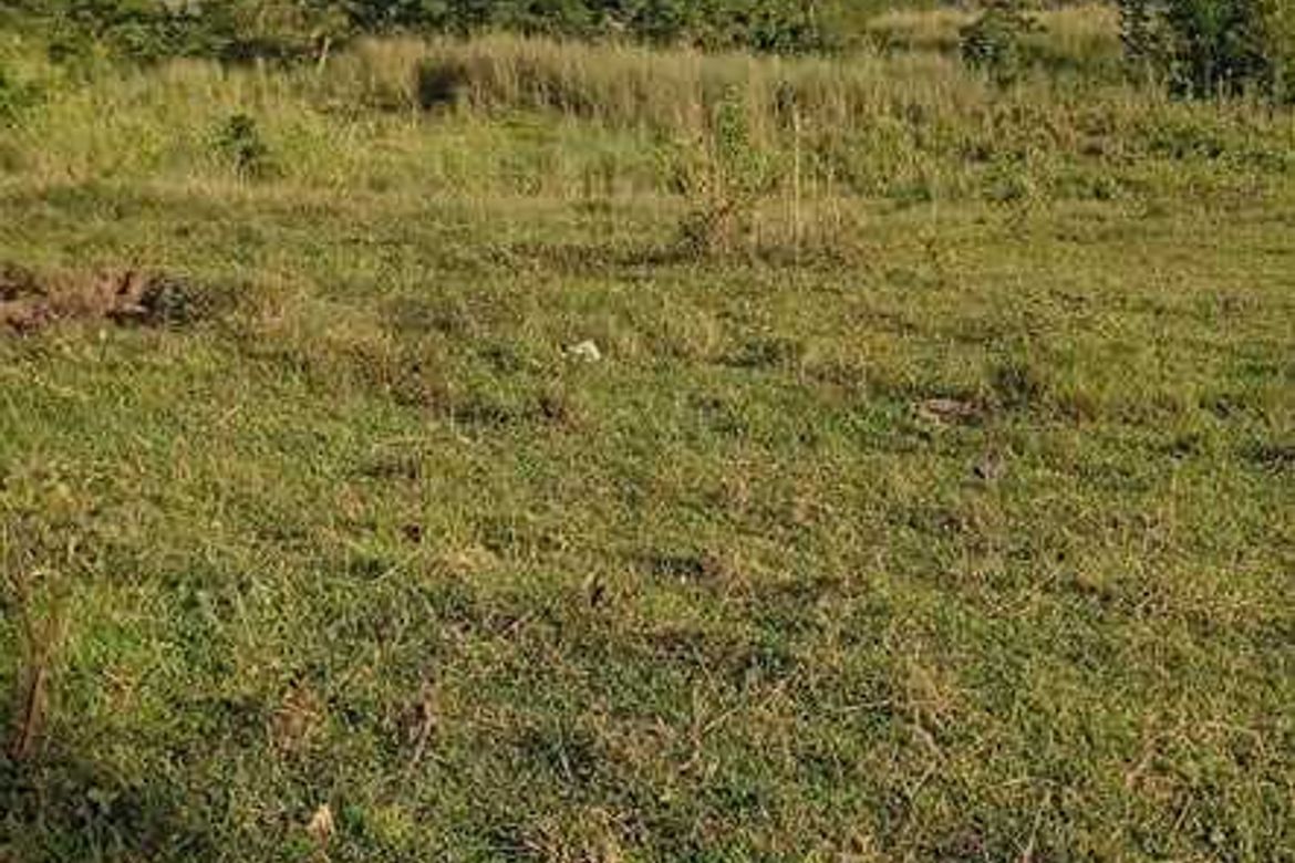 Land for Sale in Sapang Dayap, San Ildefonso, Bulacan