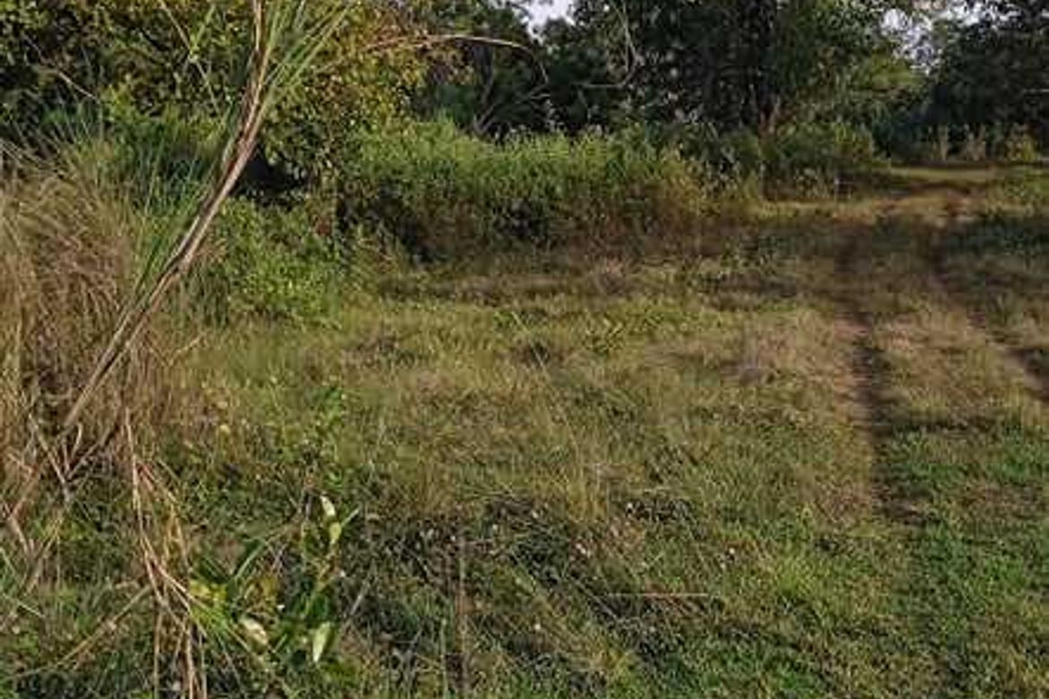 Land for Sale in Sapang Dayap, San Ildefonso, Bulacan – photo 4
