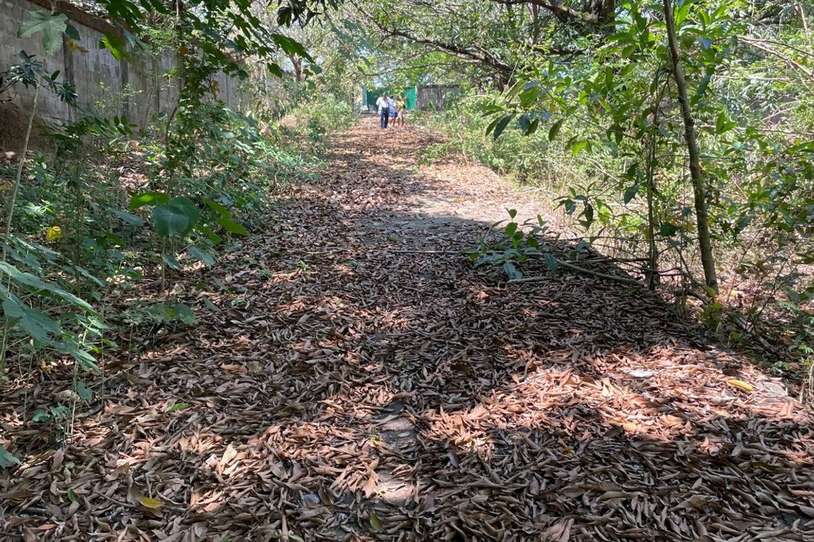 Land for Sale in Sapang, Manaoag, Pangasinan – photo 5