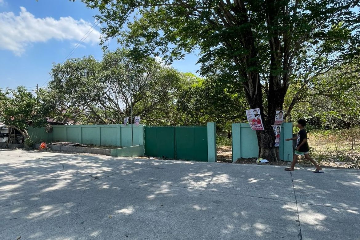 Land for Sale in Sapang, Manaoag, Pangasinan – photo 6