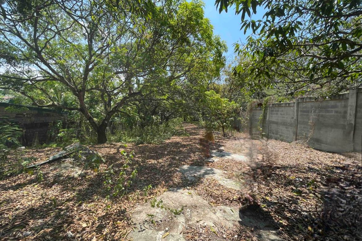 Land for Sale in Sapang, Manaoag, Pangasinan – photo 8