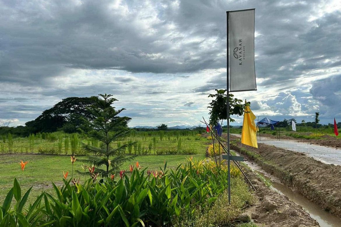 Land for Sale in Sapang Maragul, Tarlac, Tarlac – photo 5