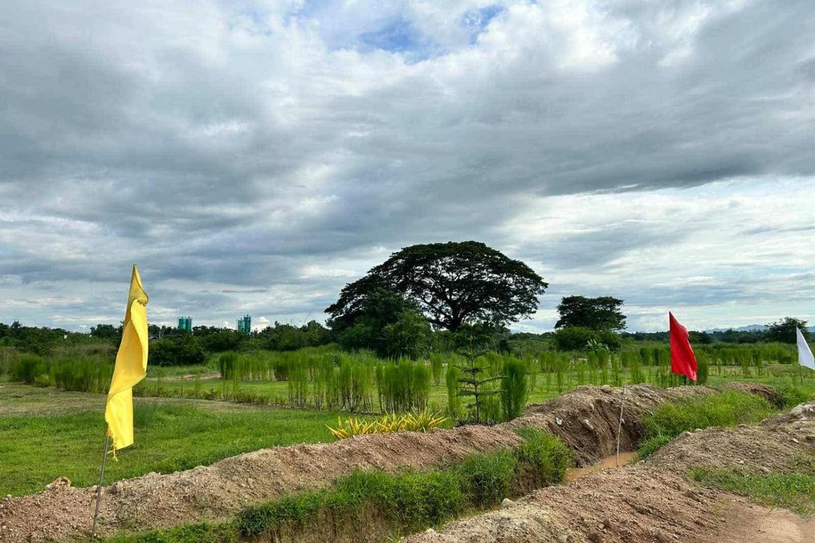 Land for Sale in Sapang Maragul, Tarlac, Tarlac – photo 6