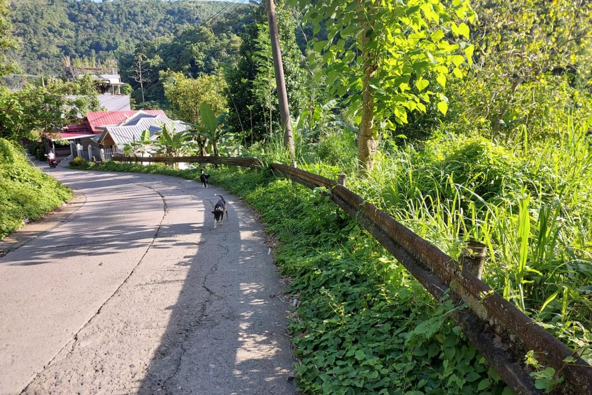Land for Sale in Sapangdaku, Cebu City, Cebu