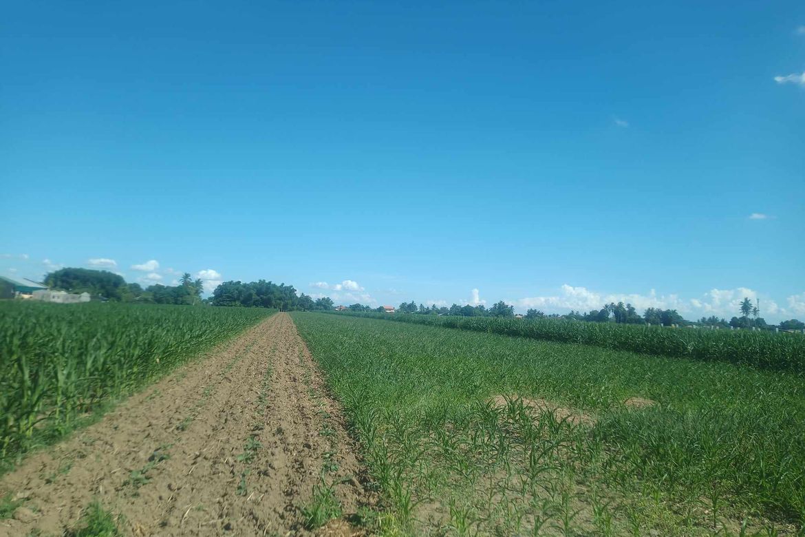 Land for Sale in Saranay, Aurora, Isabela