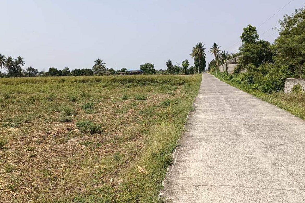 Land for Sale in Saranay, Aurora, Isabela – photo 2