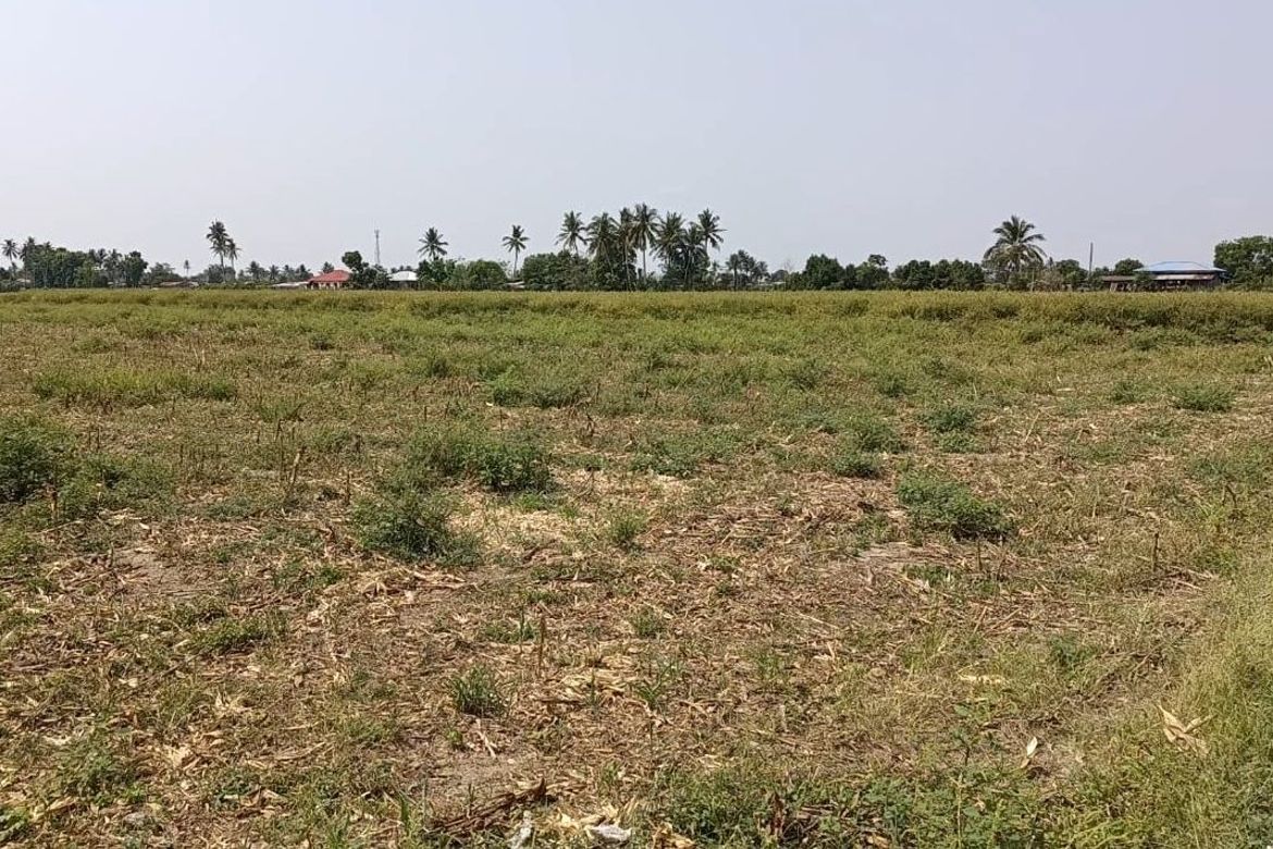 Land for Sale in Saranay, Aurora, Isabela – photo 3