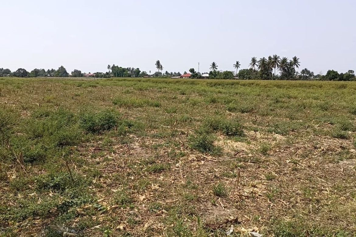 Land for Sale in Saranay, Aurora, Isabela – photo 5