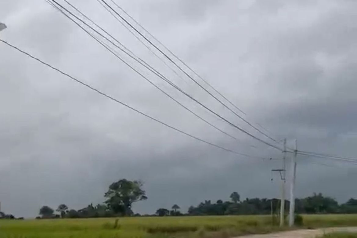 Land for Sale in Saranay District, Guimba, Nueva Ecija