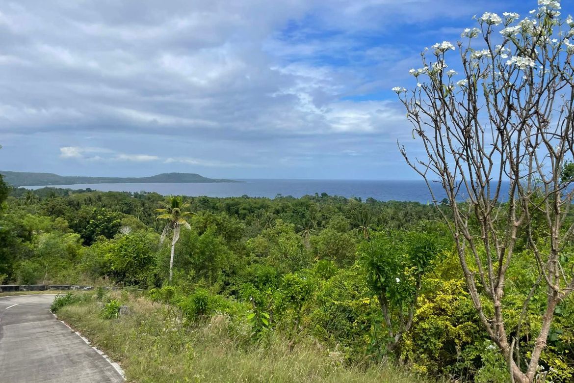 Land for Sale in Sawang, Maria, Siquijor