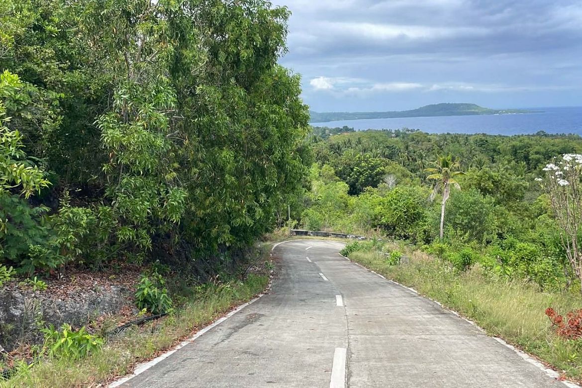 Land for Sale in Sawang, Maria, Siquijor – photo 2