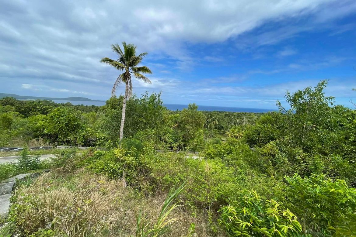 Land for Sale in Sawang, Maria, Siquijor – photo 7