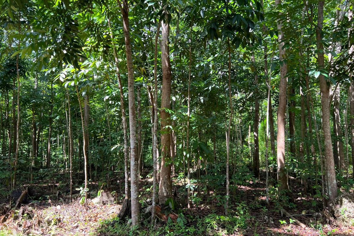 Land for Sale in Sawang, Sibutad, Zamboanga del Norte