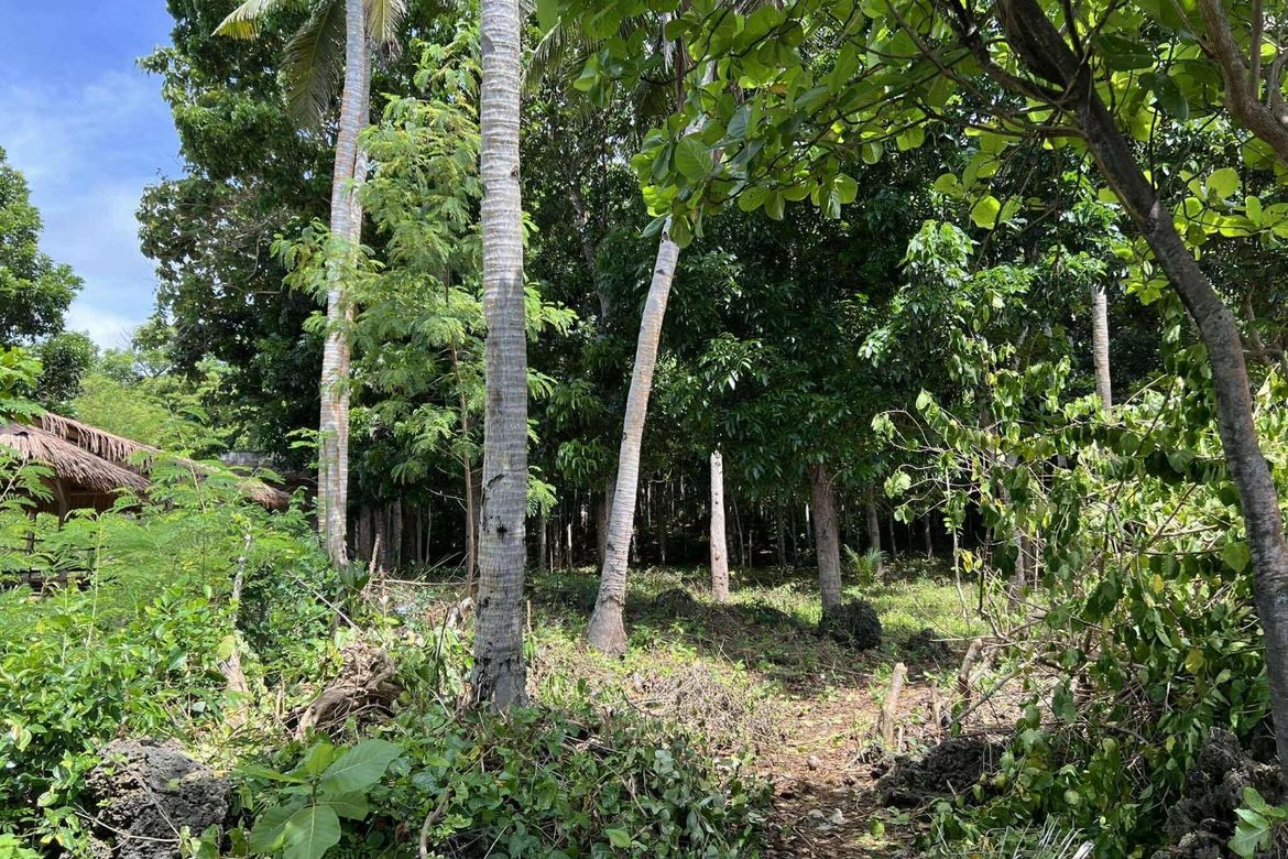 Land for Sale in Sawang, Sibutad, Zamboanga del Norte – photo 5