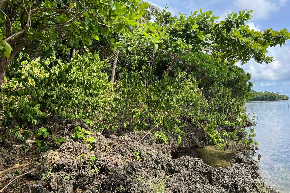 Land for Sale in Sawang, Sibutad, Zamboanga del Norte – photo 7