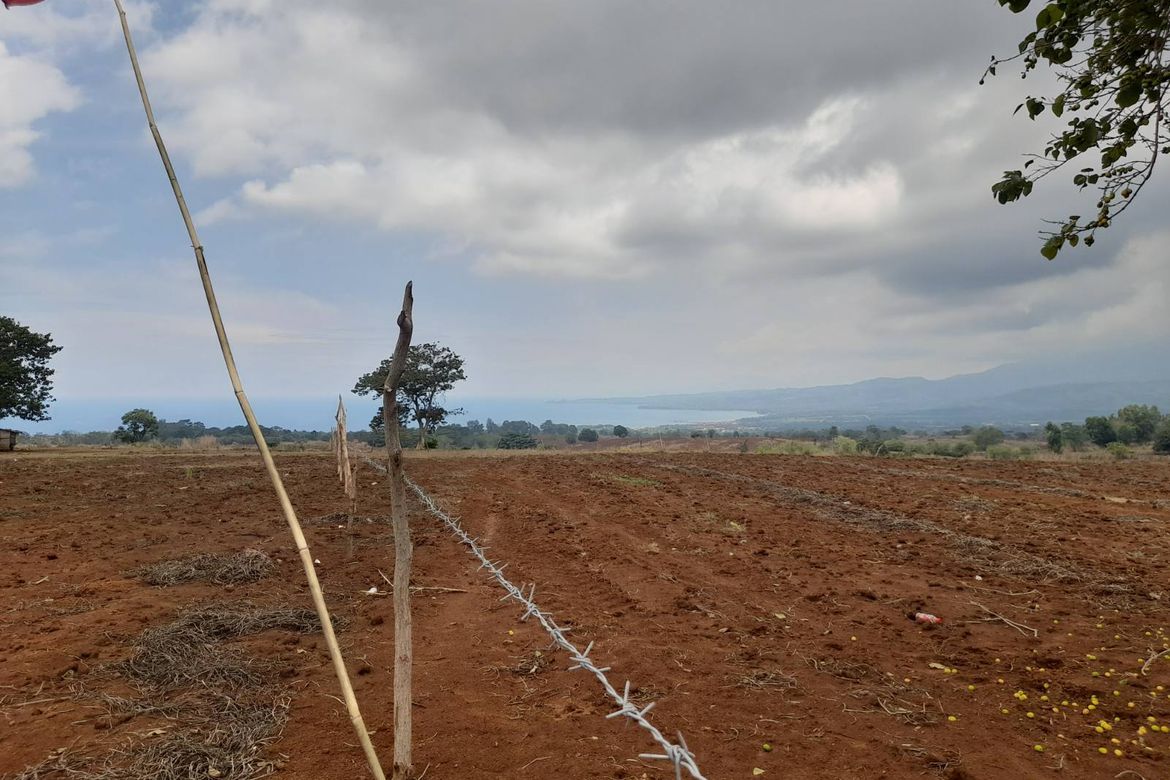 Land for Sale in Saysain, Bagac, Bataan – photo 4