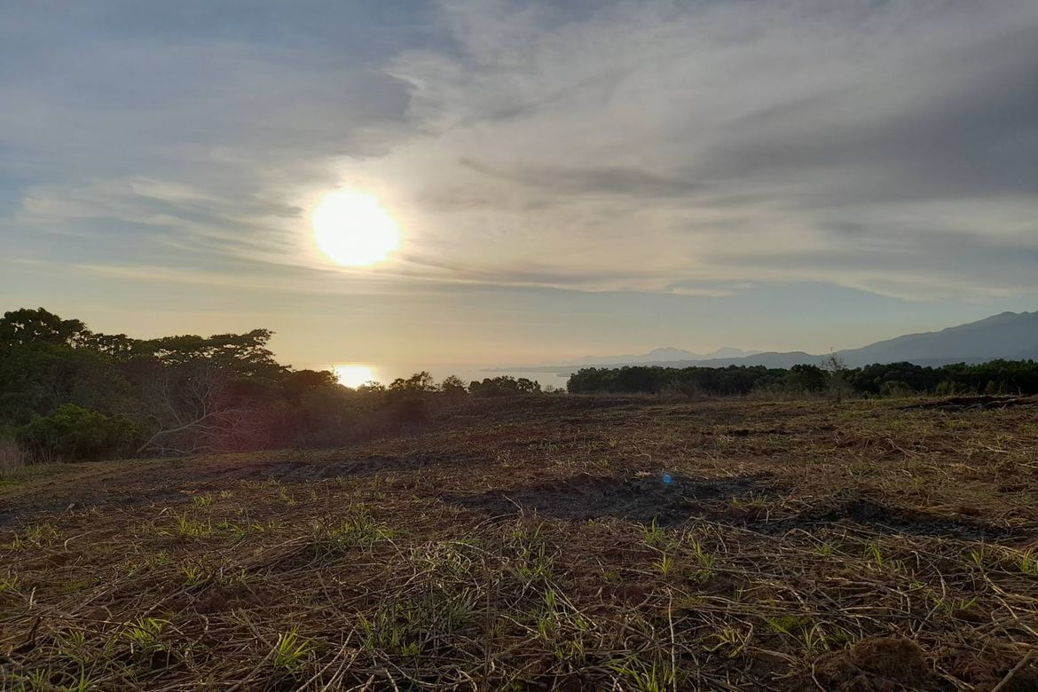 Land for Sale in Saysain, Bagac, Bataan – photo 5