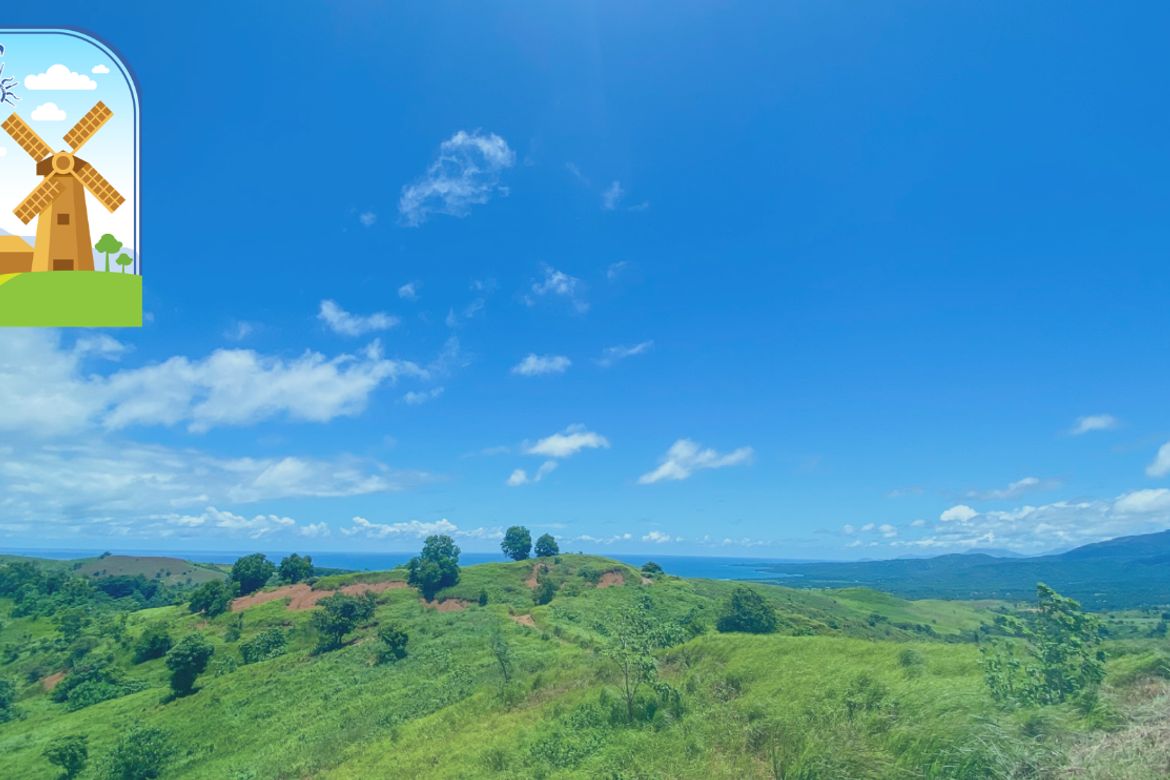 Land for Sale in Saysain, Bagac, Bataan