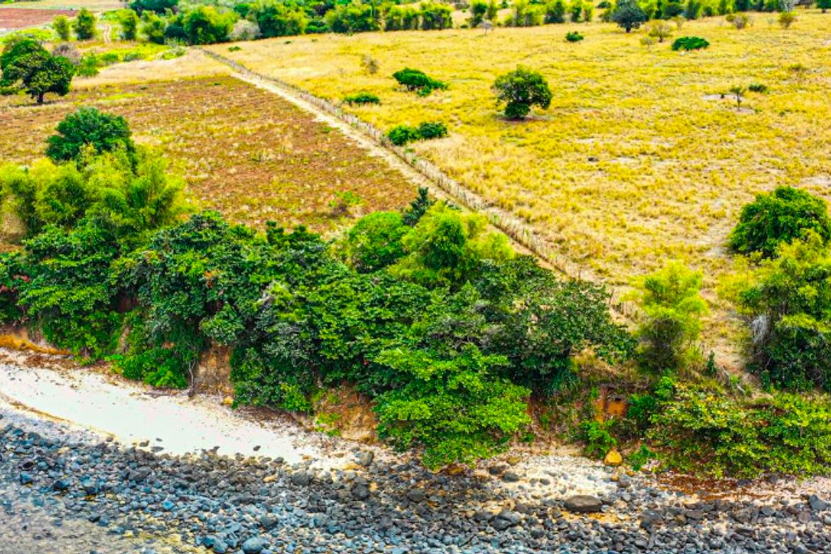 Land for Sale in Saysain, Bagac, Bataan – photo 7