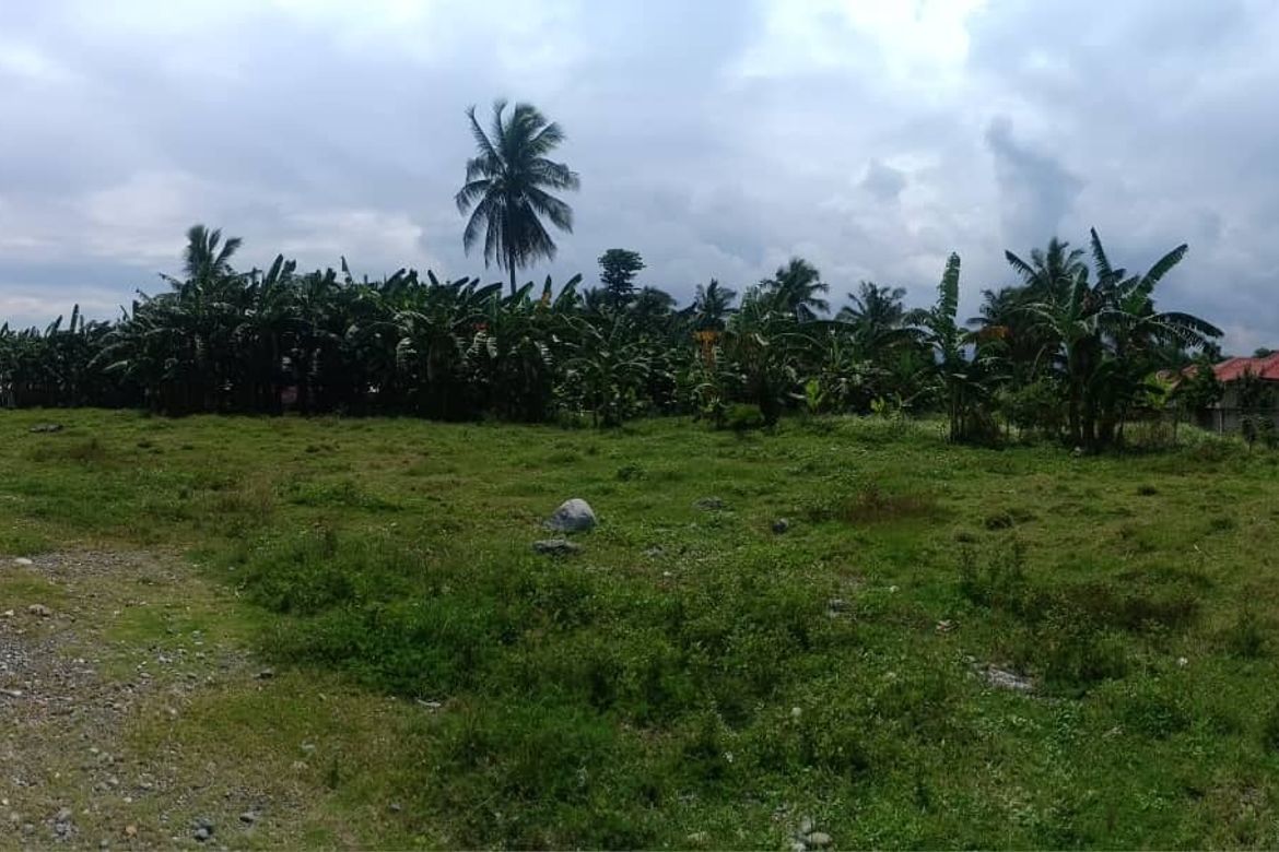 Land for Sale in SDC Land for Sale Oriental Mindoro, Tambong, Gloria, Oriental Mindoro