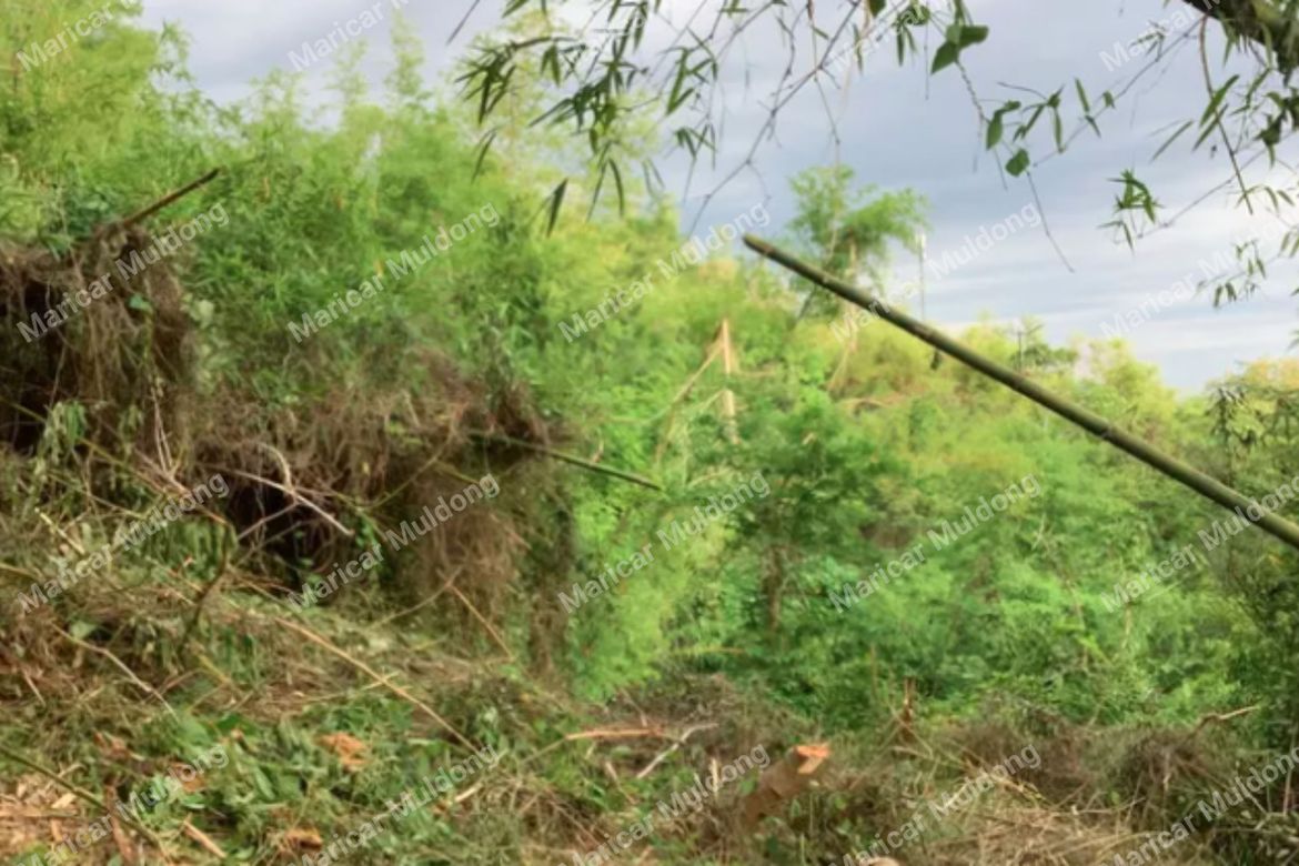 Land for Sale in Sevilla, San Fernando, La Union