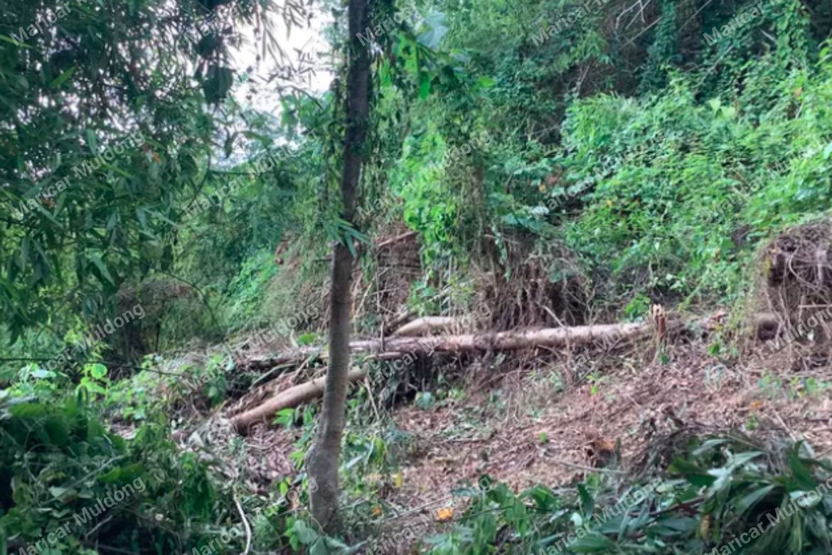Land for Sale in Sevilla, San Fernando, La Union – photo 3