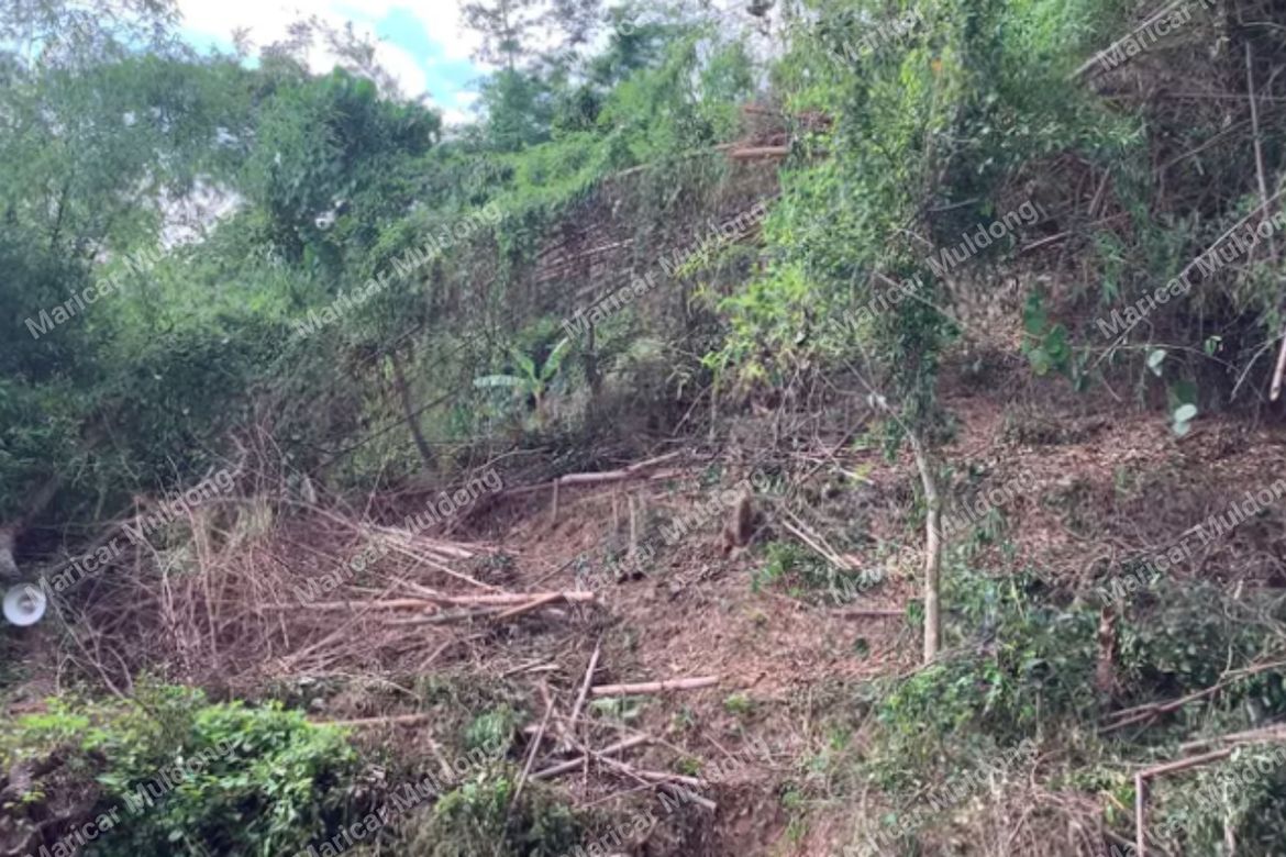 Land for Sale in Sevilla, San Fernando, La Union – photo 4