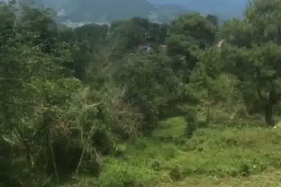 Land for Sale in Shilan, La trinidad, Benguet – photo 3