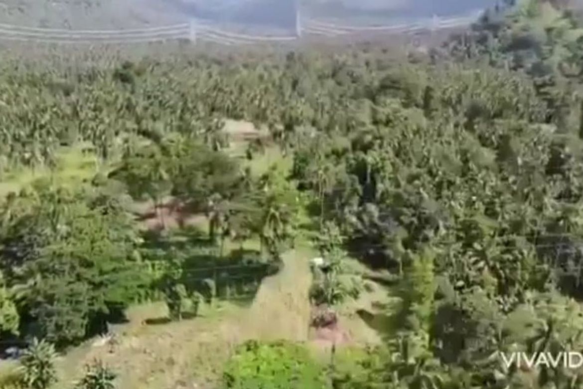 Land for Sale in Sibulan, Santa Cruz, Davao del Sur