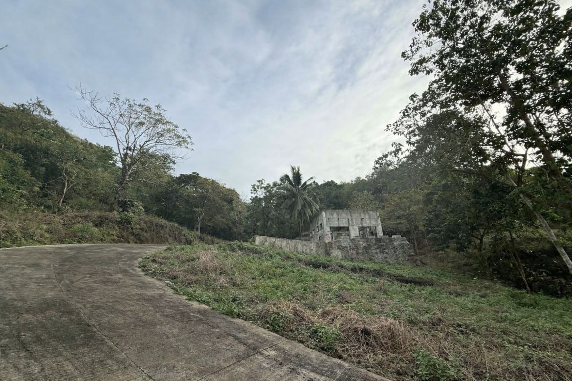 Land for Sale in Sicayab Bocana, Dapitan, Zamboanga del Norte – photo 2