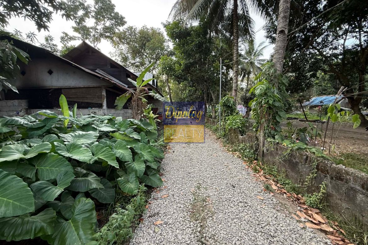 Land for Sale in Sicayab, Dipolog, Zamboanga del Norte