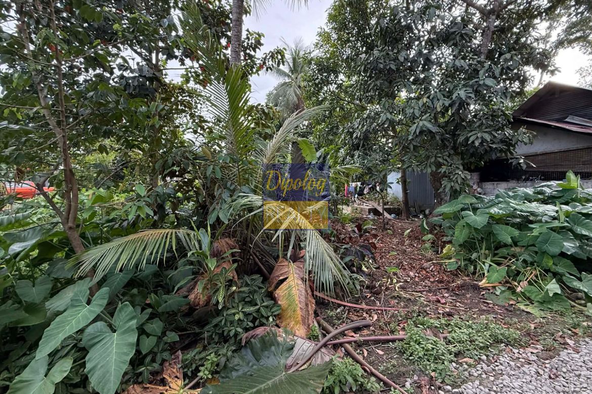 Land for Sale in Sicayab, Dipolog, Zamboanga del Norte – photo 2