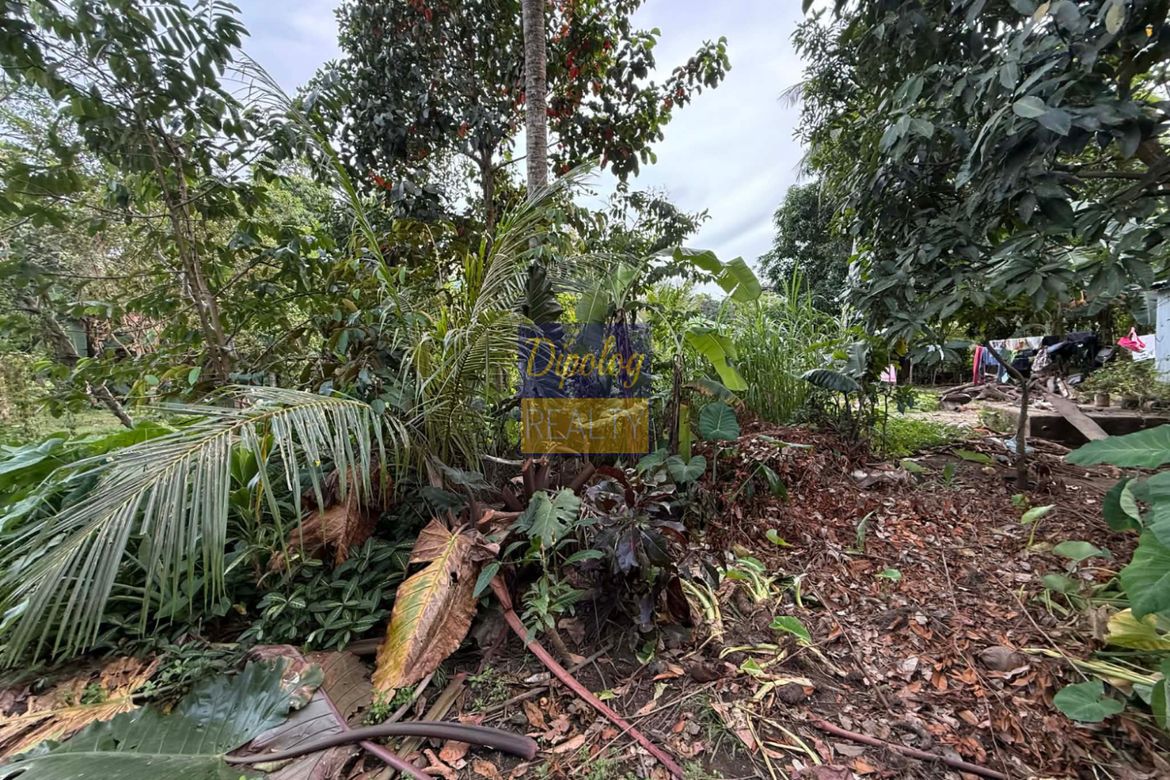Land for Sale in Sicayab, Dipolog, Zamboanga del Norte – photo 6