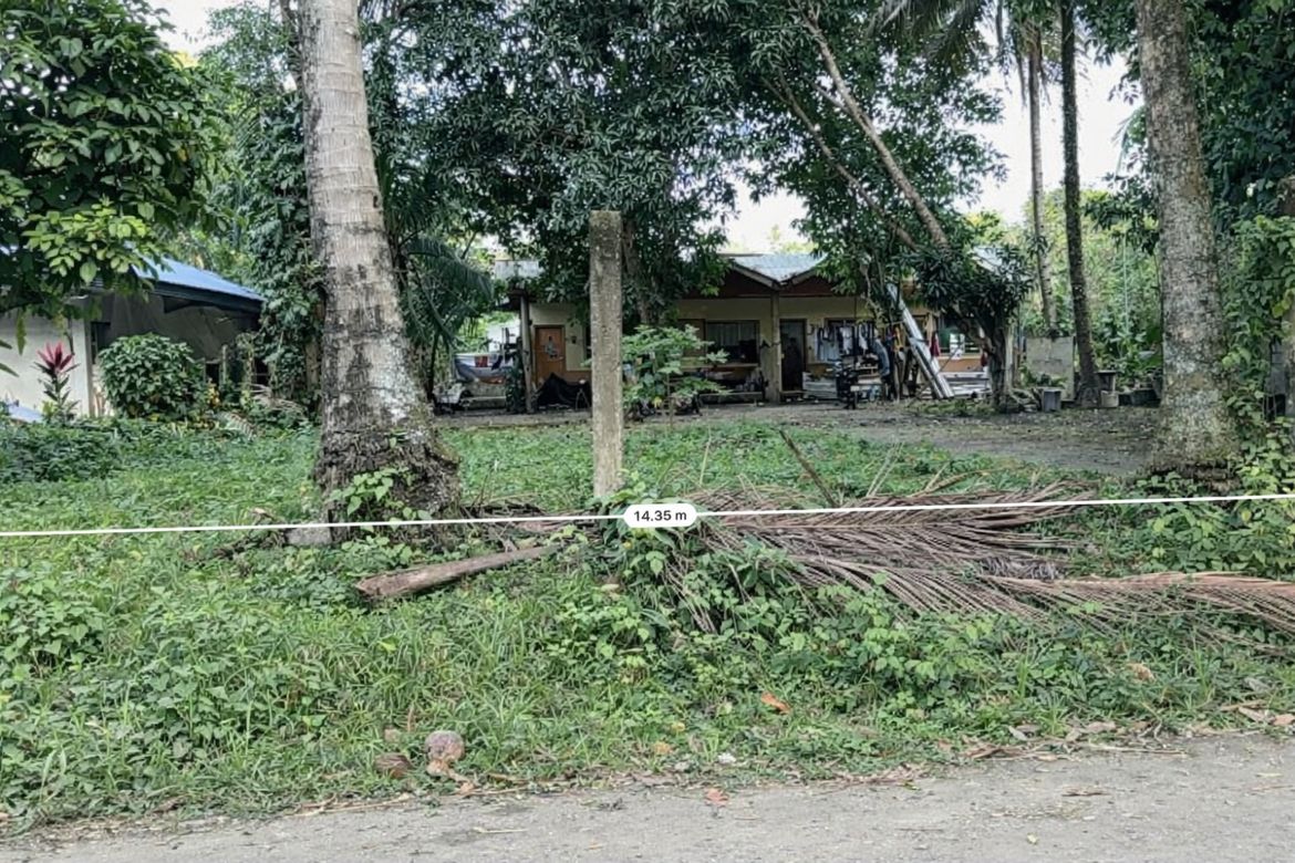 Land for Sale in Sicayab, Dipolog, Zamboanga del Norte – photo 3