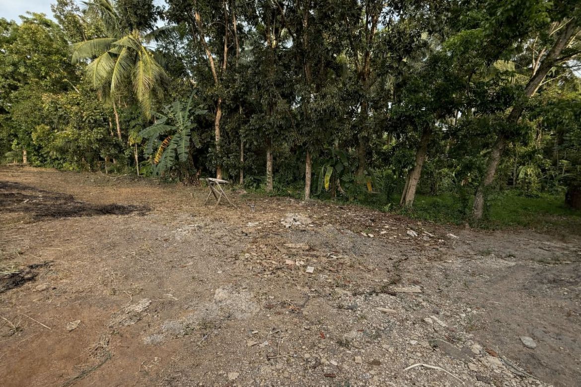 Land for Sale in Sicayab, Dipolog, Zamboanga del Norte – photo 2