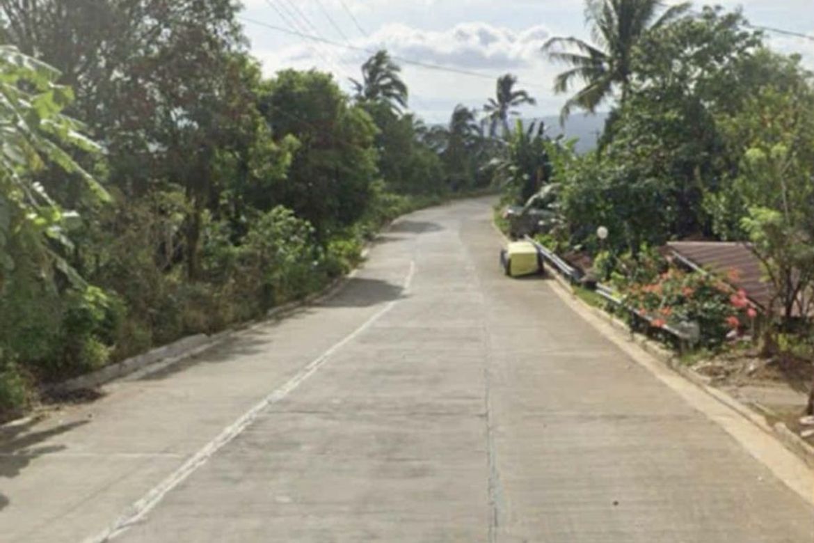 Land for Sale in Sico, Lipa, Batangas – photo 2