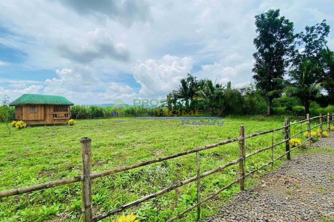Land for Sale in Sico, Lipa, Batangas – photo 2