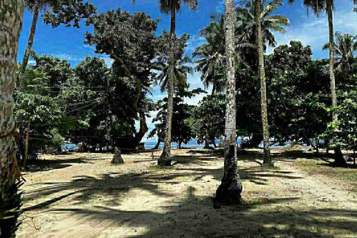 Land for Sale in Sico-Sico, Gigaquit, Surigao del Norte – photo 2